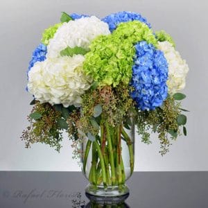 bd32df23 700 send blue white and green hydrangeas in san rafael - Cotton Candy - V587