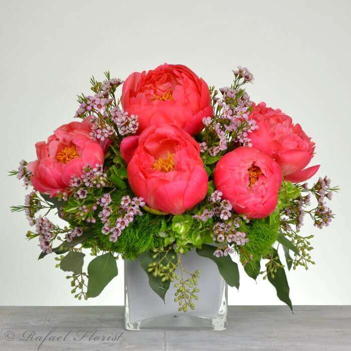 32fe4ffc coral peonies in white cube - Best Florist in Marin County