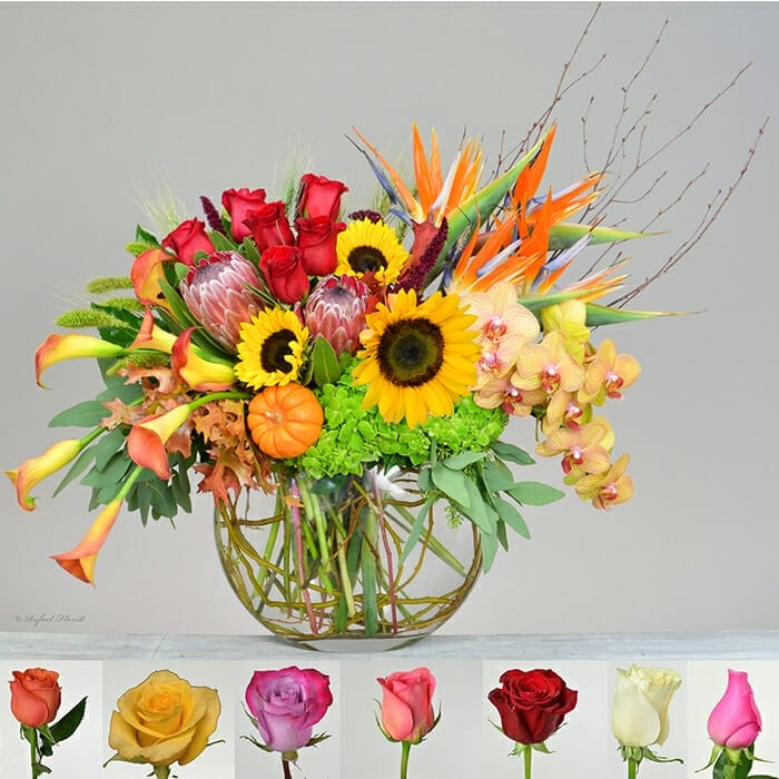 Autumn orchid arrangement - San Rafael Florist - Flower Delivery