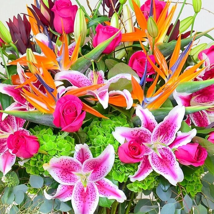 luxurious floral design of tropical birds of paradise, roses, hydrangeas