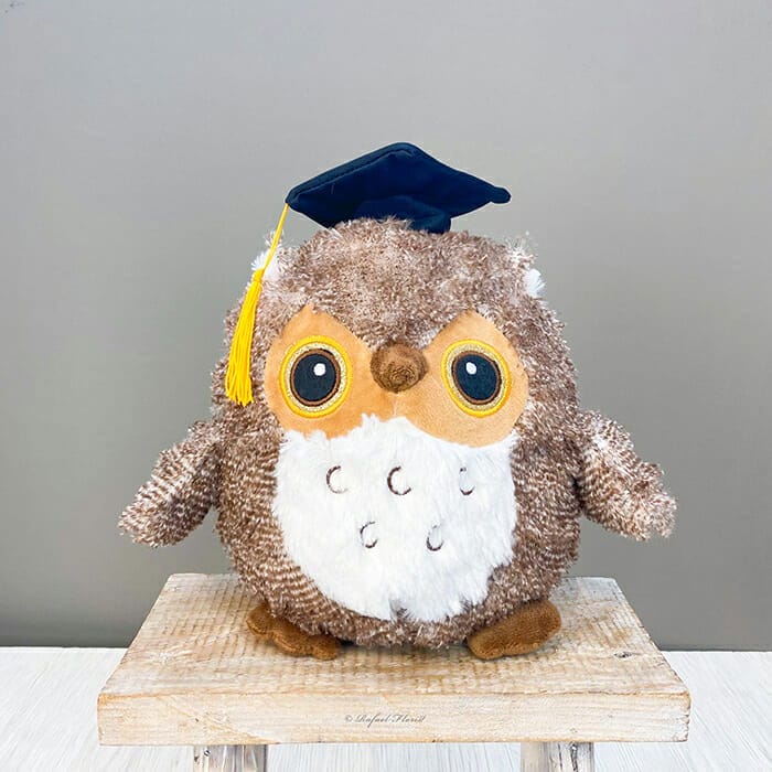 Graduation store owl plush