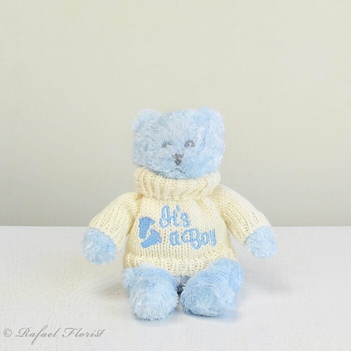 Baby boy best sale teddies